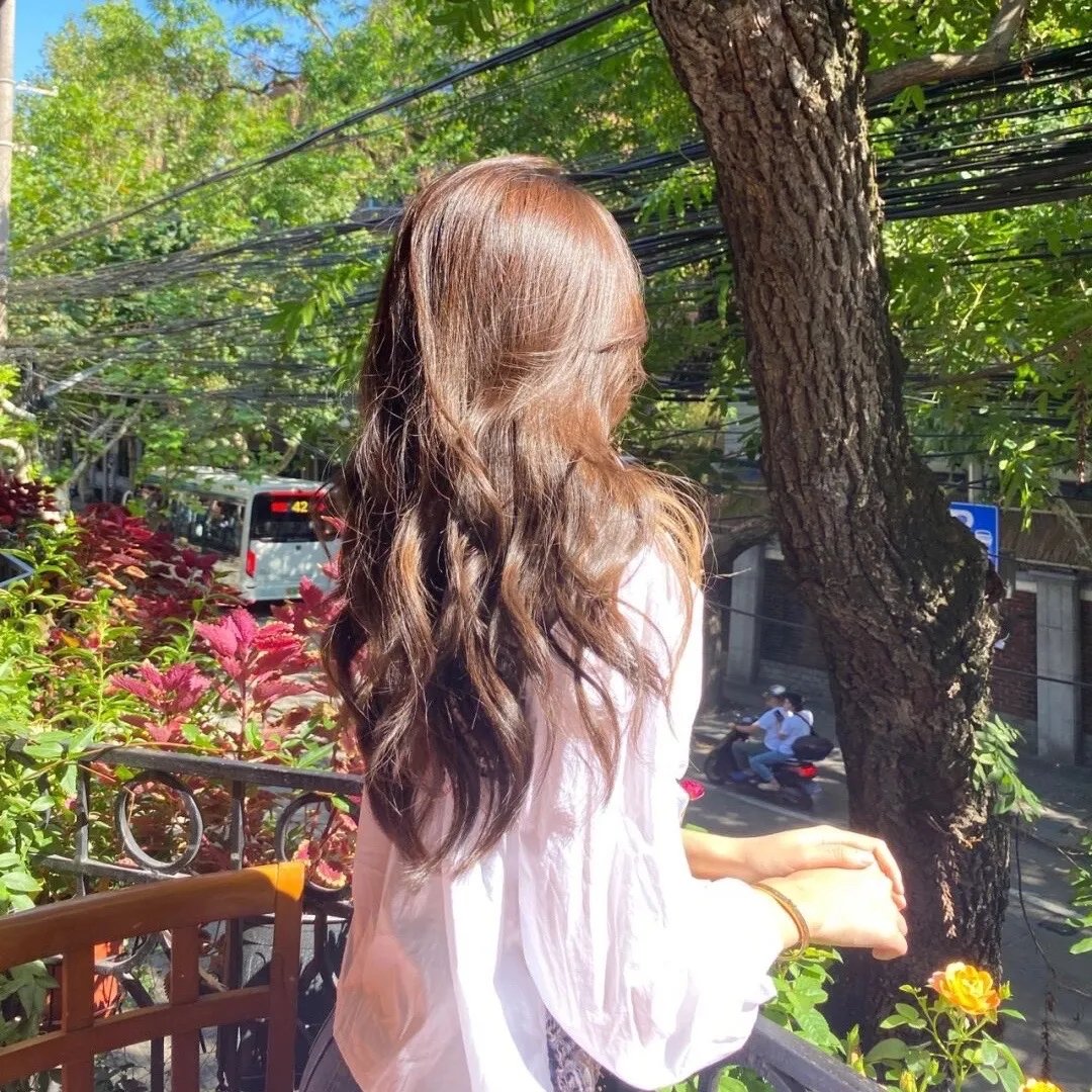 在世界边缘遇见熊